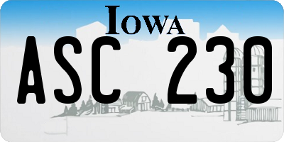 IA license plate ASC230