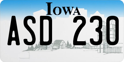 IA license plate ASD230