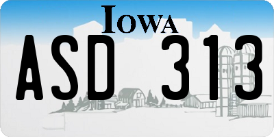 IA license plate ASD313