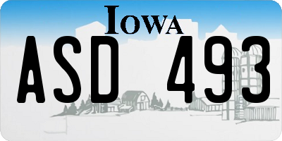 IA license plate ASD493