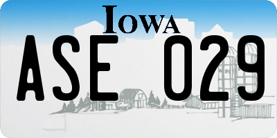 IA license plate ASE029