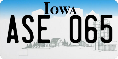 IA license plate ASE065