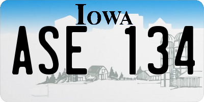 IA license plate ASE134