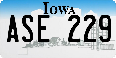 IA license plate ASE229