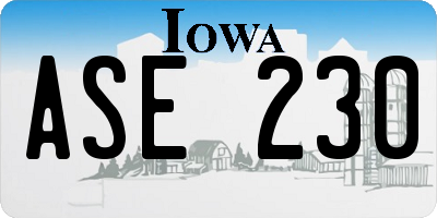 IA license plate ASE230