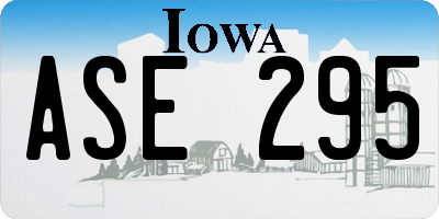 IA license plate ASE295