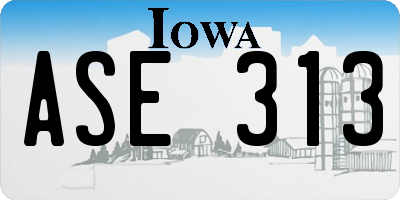 IA license plate ASE313