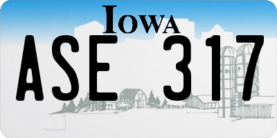 IA license plate ASE317