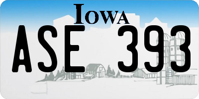 IA license plate ASE393