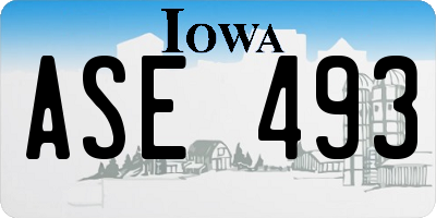 IA license plate ASE493