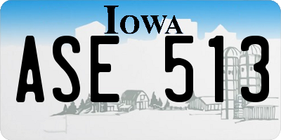 IA license plate ASE513