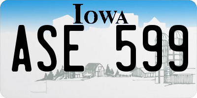 IA license plate ASE599