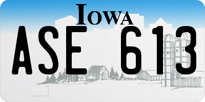 IA license plate ASE613