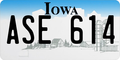 IA license plate ASE614