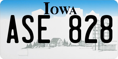 IA license plate ASE828