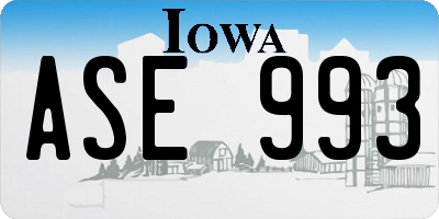 IA license plate ASE993