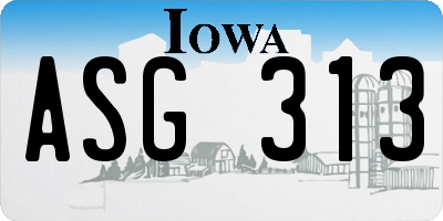IA license plate ASG313