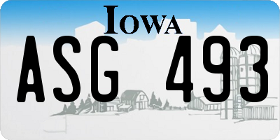 IA license plate ASG493