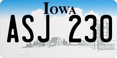 IA license plate ASJ230