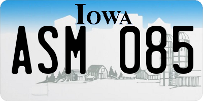 IA license plate ASM085