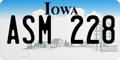 IA license plate ASM228