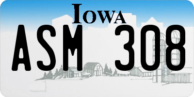 IA license plate ASM308