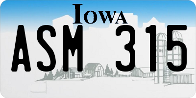 IA license plate ASM315
