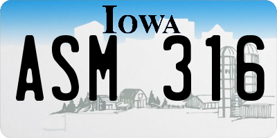 IA license plate ASM316