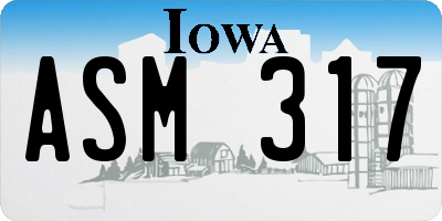 IA license plate ASM317