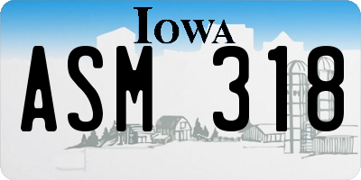 IA license plate ASM318