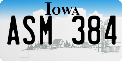 IA license plate ASM384