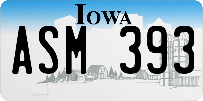 IA license plate ASM393