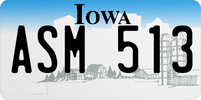 IA license plate ASM513