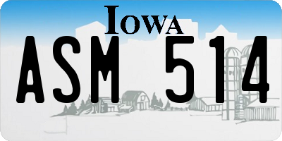 IA license plate ASM514