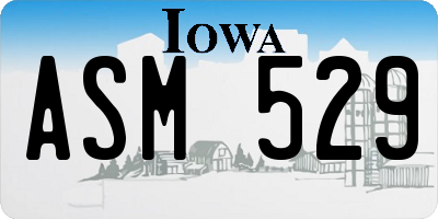 IA license plate ASM529