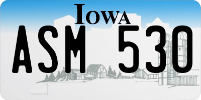 IA license plate ASM530