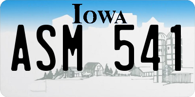 IA license plate ASM541