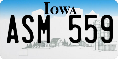 IA license plate ASM559