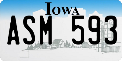 IA license plate ASM593
