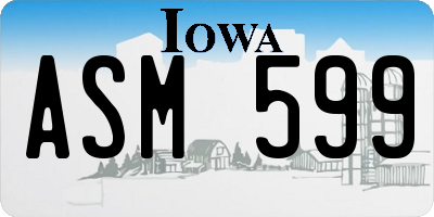IA license plate ASM599