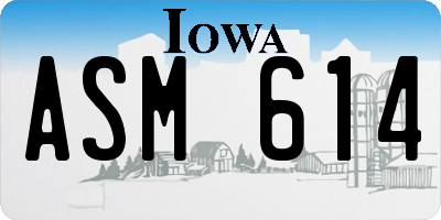 IA license plate ASM614