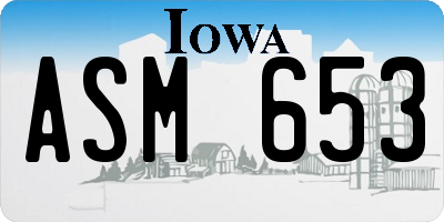 IA license plate ASM653