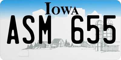 IA license plate ASM655