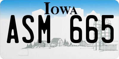 IA license plate ASM665