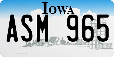 IA license plate ASM965