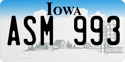 IA license plate ASM993