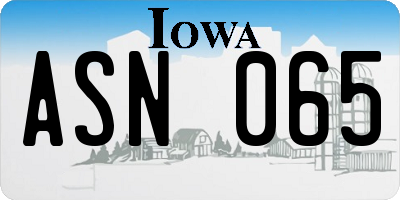 IA license plate ASN065