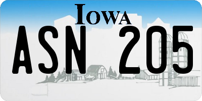 IA license plate ASN205