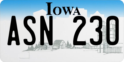 IA license plate ASN230