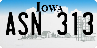 IA license plate ASN313